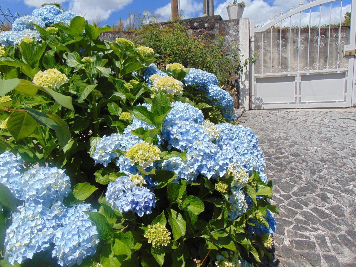Country house Casa Rebelo Cossourado (Braga)