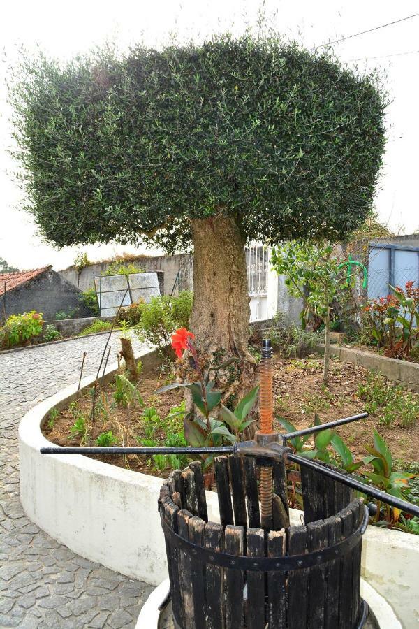 Casa Rebelo Séjour à la campagne