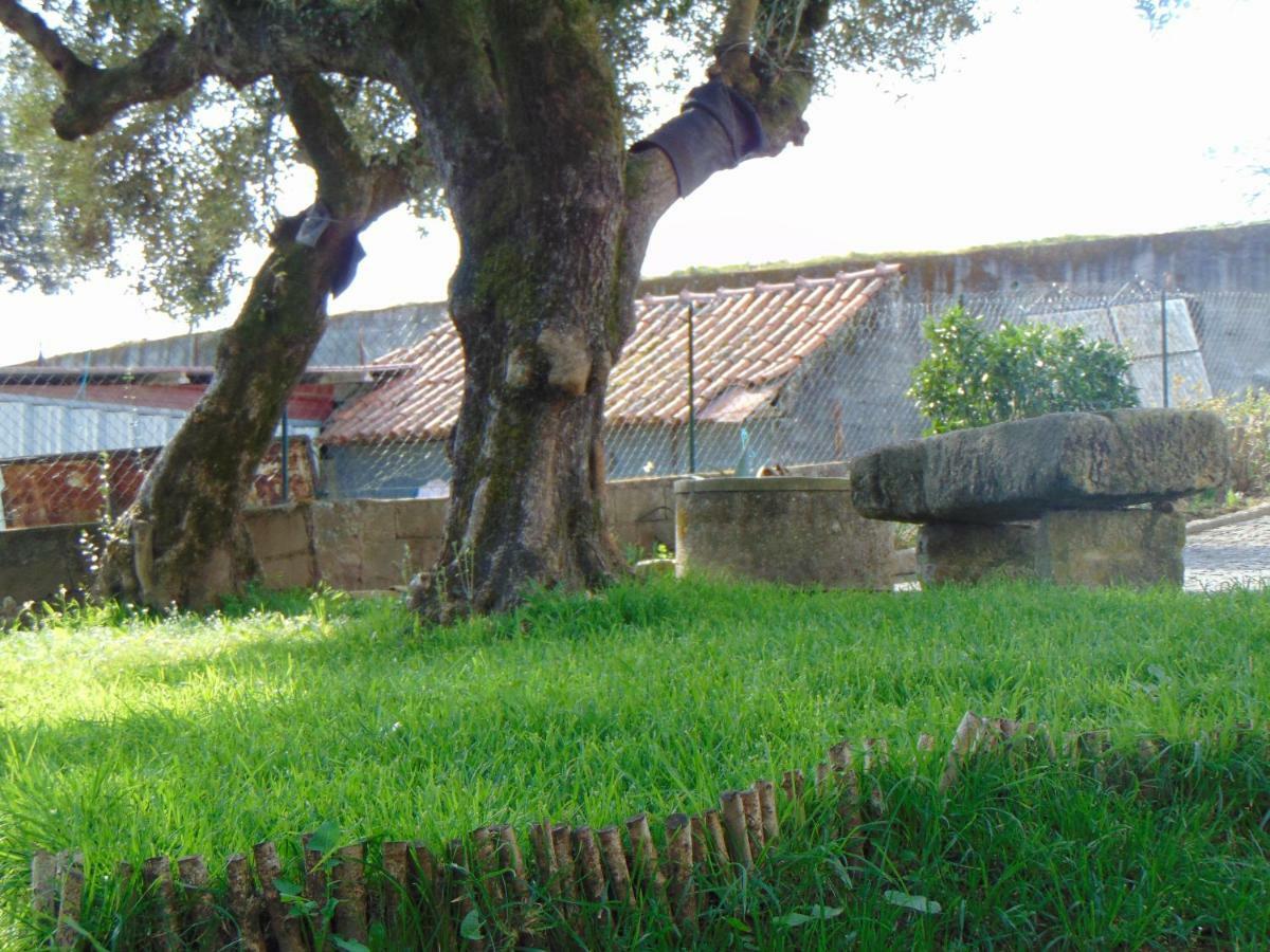 Casa Rebelo