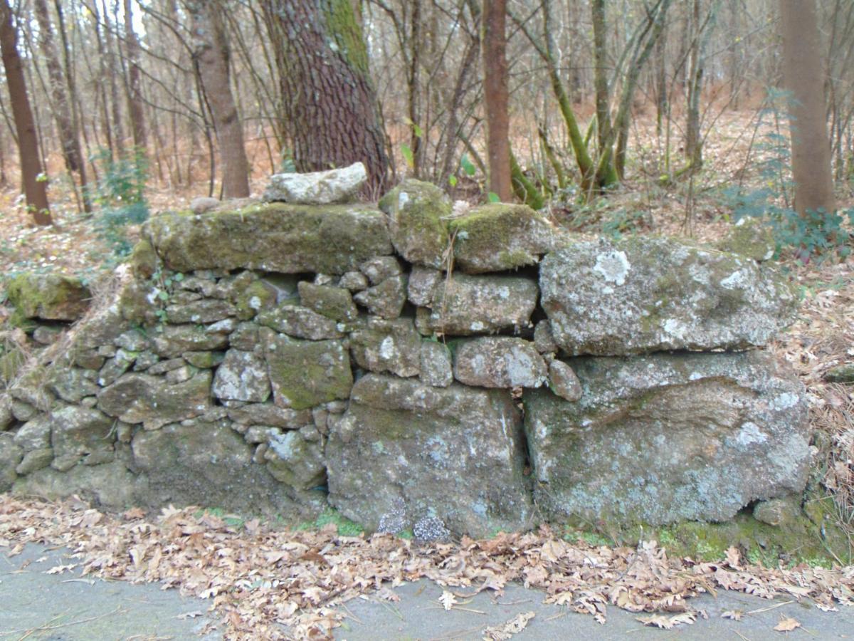 Séjour à la campagne Casa Rebelo Cossourado (Braga)